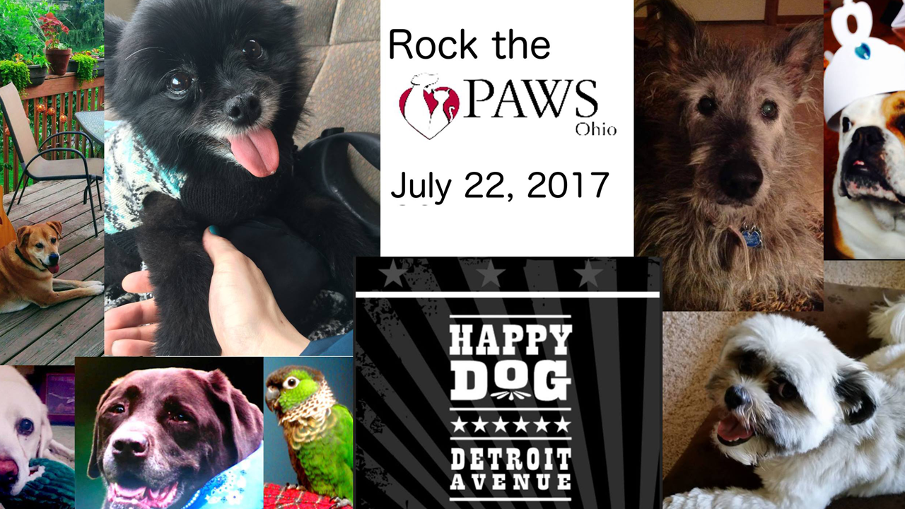 2017-07-17: Rock The Paws